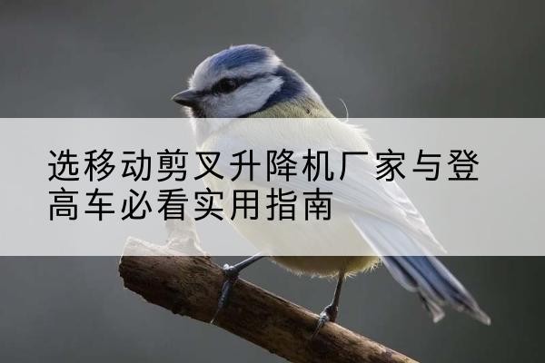 信阳电动升降机厂家-选移动剪叉升降机厂家与登高车必看实用指南