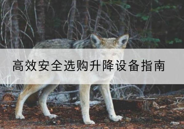 信阳升降货梯厂家推荐-*安全选购升降设备指南